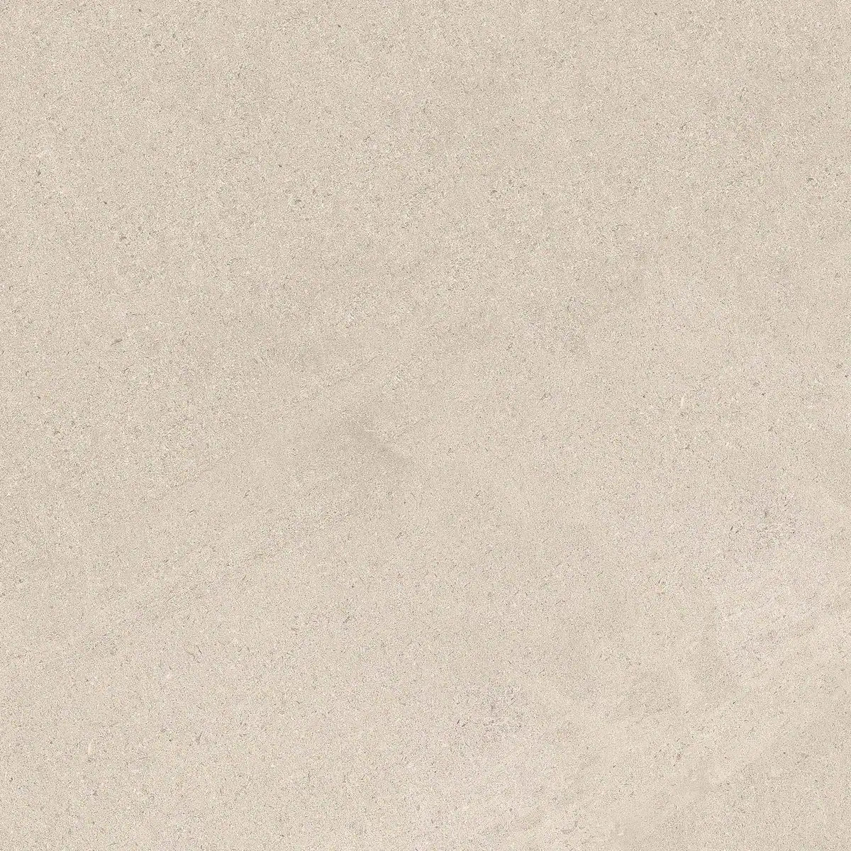 Patria Grijs 60x60 cm Betonlook Vloer-/Wandtegel