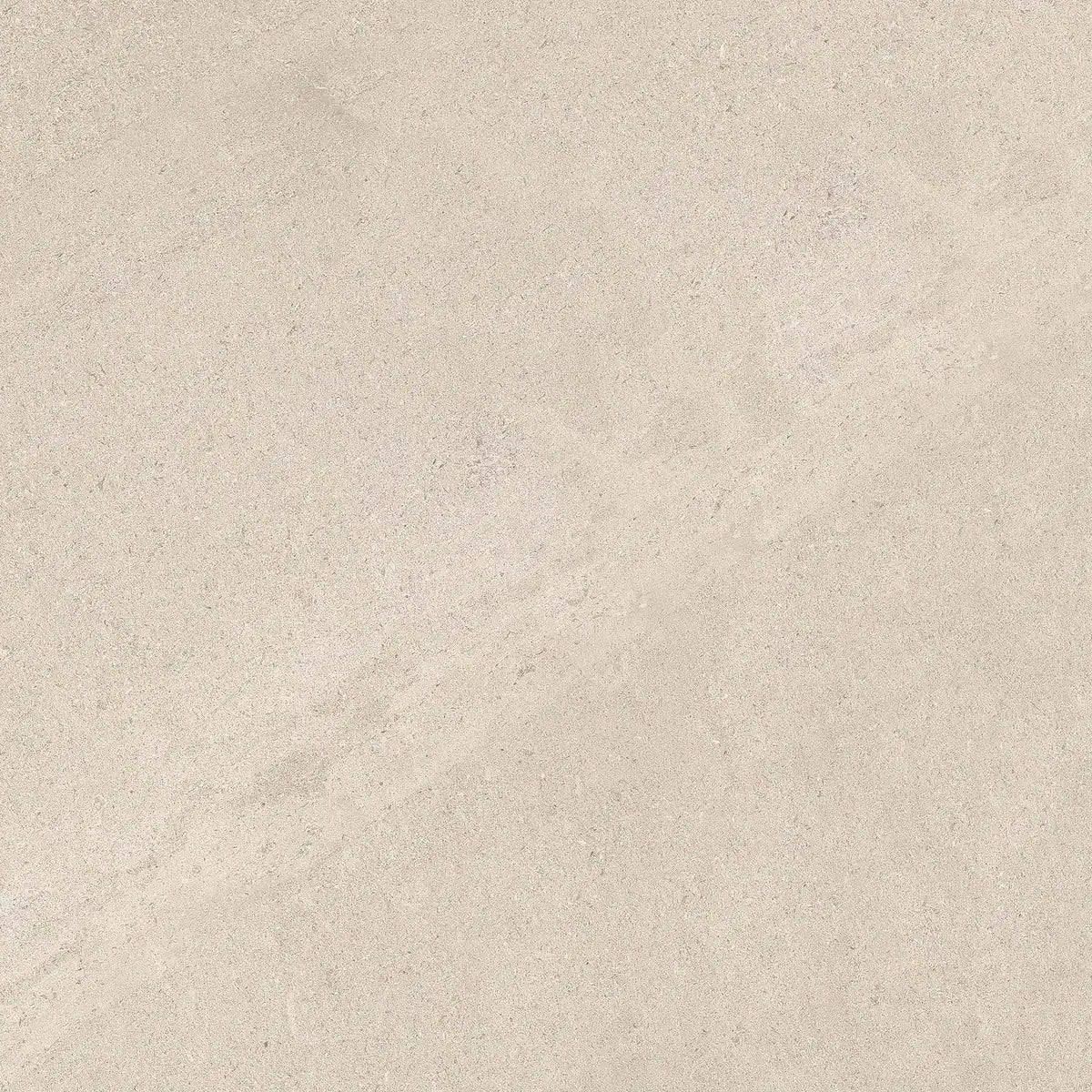 Patria Grijs 60x60 cm Betonlook Vloer-/Wandtegel